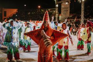 Carnevale di Manfredonia (06).